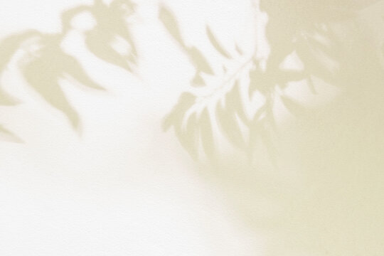 Leaf shadow and light beige background. Nature tropical leaves plant and tree branch shade with sunlight on wall texture for background wallpaper and design, shadow overlay effect