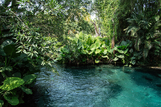 R&iacute;o Yautepec, Tlaltizapan, Morelos