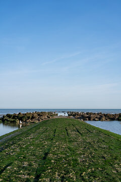 Seaweed-Covered Stone Breakwater Leading to Sea, Middelkerke, Belgium