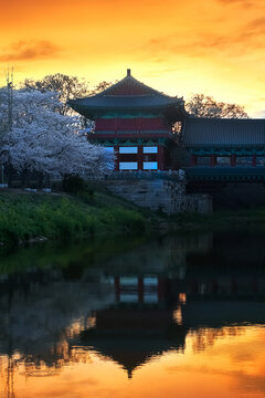 Woljeonggyo Bridge during the cherry blossom season in spring. Gyeongju, South Korea.