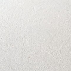 Fototapeta premium White Handmade Paper Surface Texture