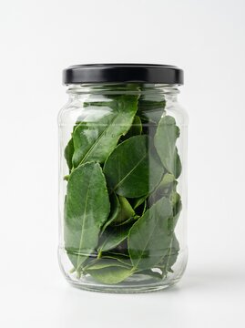Fresh green kaffir lime leaves stored inside a clear glass jar isolated on white background