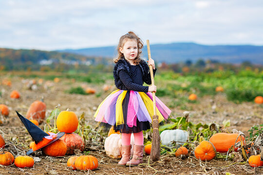 Little girl in witch costume with broom on pumpkin patch field in autumn. Child dressed up for Halloween celebration outdoors. Real life, real people