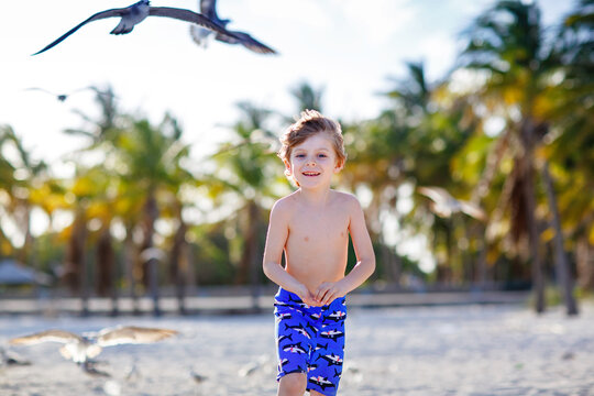 Blond adorable gorgeous little kid boy having fun on Miami beach, Key Biscayne. Happy healthy cute child playing with sand and running near ocean. Palms, security house and white sand
