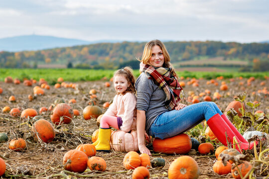 Little preschool girl and young mother on pumpkin patch with lots of pumpkins in autumn field. Happy child and woman, family enjoying harvest season outdoors. Real life, real people.