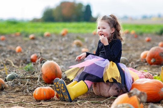 Little girl in witch costume on pumpkin patch field in autumn. Child dressed up for Halloween celebration outdoors. Real life, real people