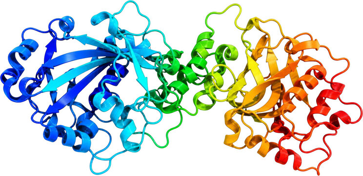 Rainbow protein ribbon structure isolated on a transparent background