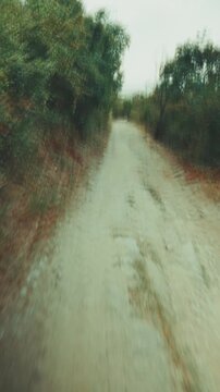 A frantic first-person perspective vertical video shot, showing chaotic rapid running through a green forest, with sudden, jerky camera movements glancing wildly left and right away from the trail.