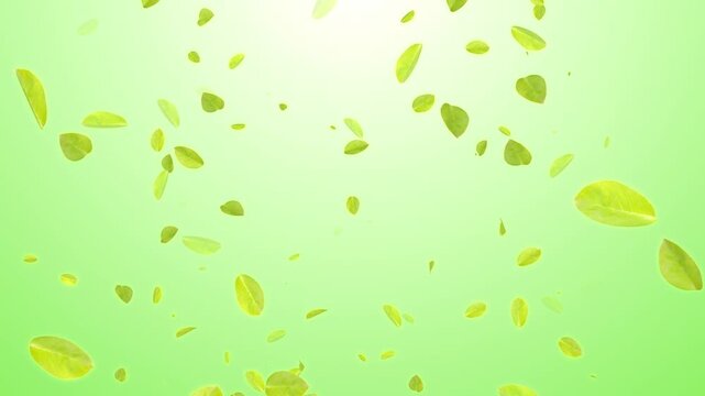 Animated images of leaves and sponges floating in a forest background.