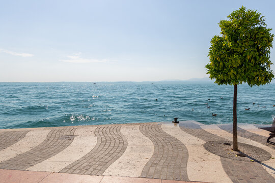 A solitary tree stands on Lungolago Marconi beside sparkling Lake Garda in Lazise, Italy, creating a simple summer waterfront scene.
