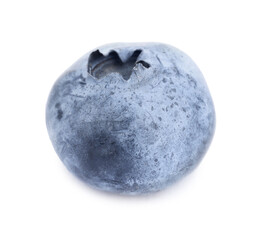 Fototapeta premium One tasty ripe blueberry isolated on white