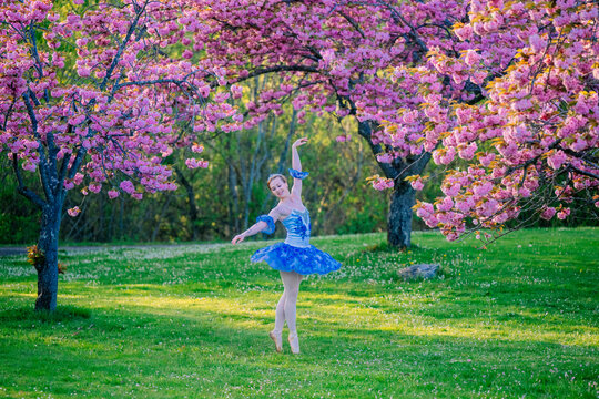 Ballerina in blue tutu dances gracefully