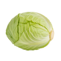Fototapeta premium Fresh Organic Green Cabbage Vegetable Head for Nutritious Cooking and Healthy Diet Food Recipes