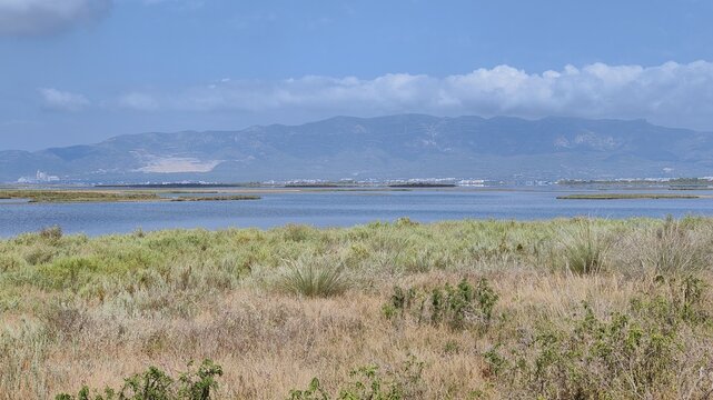 Punta de la Banya, Faro de la Banya, Delta de l'Ebre
