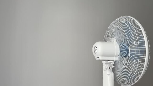 The head of a white pedestal fan from the back starts up to full speed then stops. Electric fan running at home