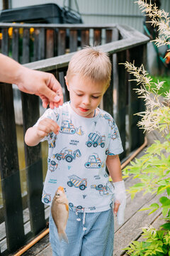 Child catches a fish while standing on a wooden deck near water