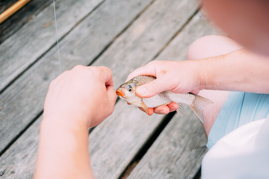 Person holds a small fish while fishing on a wooden dock