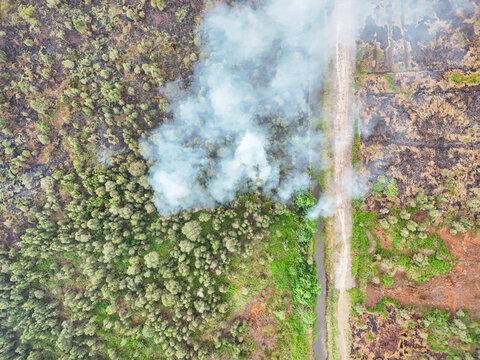 Aerial view of a forest fire with thick smoke rising from burning trees near a dirt path in Banjarbaru, South Kalimantan, Indonesia.