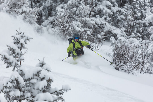 Freeride skier carving through deep powder snow in a dense alpine 