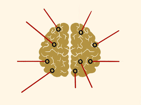 Brain Illustration Showing Nerve Endings in Specific Areas