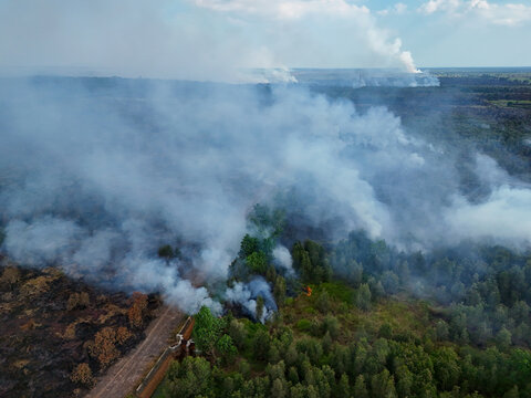 Aerial view of a forest fire with thick white smoke rising from burning vegetation and scorched earth near a dirt road in Banjarbaru, South Kalimantan, Indonesia.