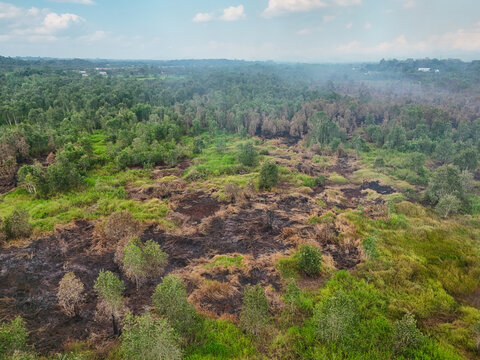 Aerial view of a forest area showing patches of burnt ground and smoke from a fire, contrasting with green vegetation in Banjarbaru, South Kalimantan, Indonesia.