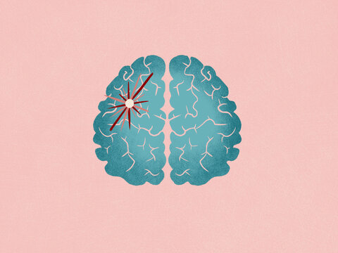 The origins of an idea in the brain
