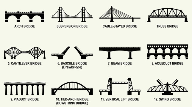 An educational infographic illustrating 12 distinct types of bridges with their names and structural designs for various applications.