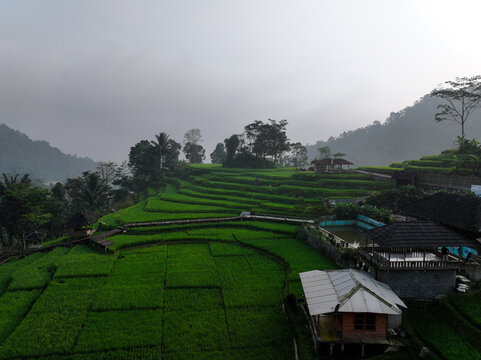 Aerial view of Cisalada Rice Terrace with lush green paddies, wooden huts, and misty mountains in the background in Pamijahan, West Java, Indonesia.