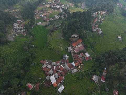 Aerial view of the lush green Cisalada Rice Terrace surrounded by traditional village houses with red roofs nestled in the hilly landscape of Pamijahan, West Java, Indonesia.