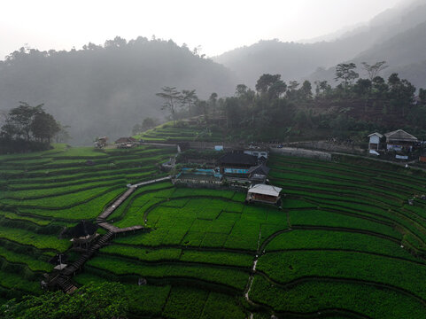 Aerial view of Cisalada Rice Terrace with lush green paddies, wooden walkways, and misty mountains in the background in Pamijahan, West Java, Indonesia.