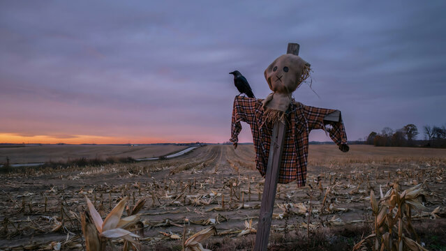 A scarecrow with a burlap head and plaid shirt standing in a harvested corn field under a twilight sky with a black crow perched on its shoulder