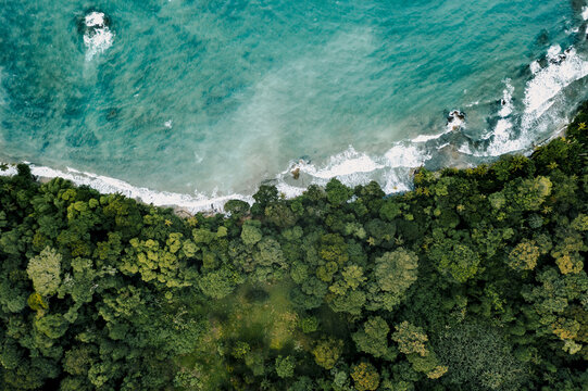 Aerial view of the lush tropical rainforest meeting the turquoise Caribbean Sea along the coastline of Puerto Viejo de Talamanca, Limon Province, Costa Rica.