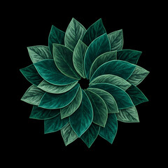 Obraz premium Circular mandala pattern made of fresh green leaves isolated on black background.