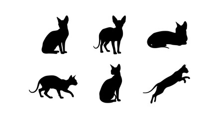 Obraz premium Sphynx Cat Silhouettes: Six Elegant Feline Poses, Vector Art Collection for Pet Lovers and Designers
