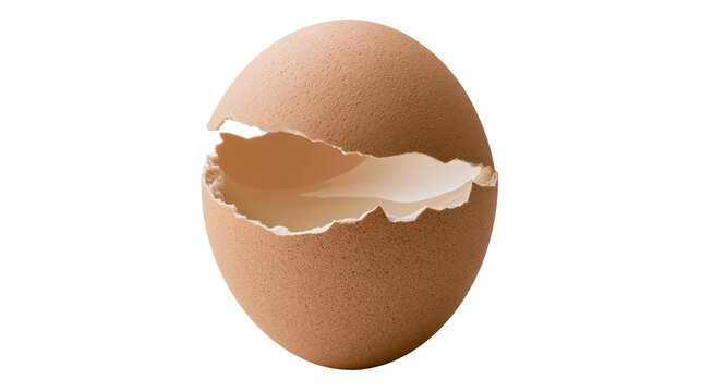 Brown cracked eggshell with visible interior, isolated on transparent background