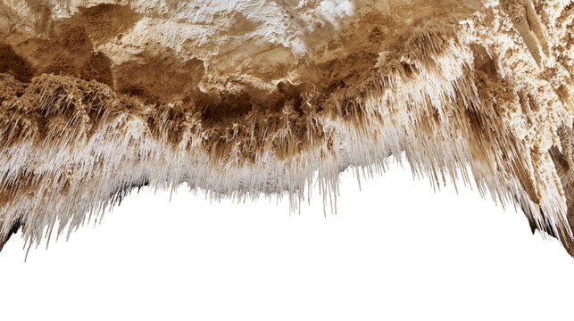 Brown cave ceiling with numerous white stalactites hanging down, isolated on transparent background