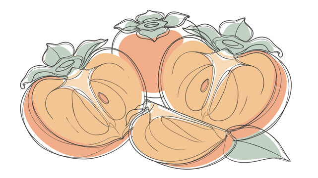 Fresh Persimmon Fruit Composition with Leaves in Soft Line Art Vector for Healthy Eating Concepts