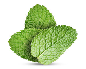 Green mint. Three leaves on white background © New Africa