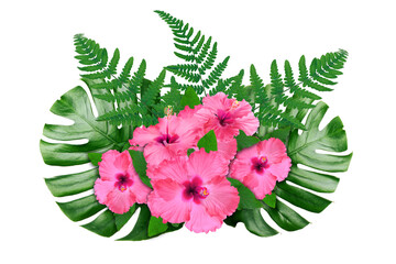 Hibiscus flowers and green leaves in tropical composition on white background © New Africa