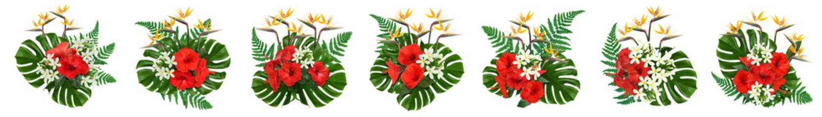Floral compositions with hibiscus, strelitzia and plumeria flowers with green tropical leaves on white background, set © New Africa