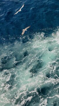 Seagull soars over a stormy sea in the wake of a passing ship, seen from the deck. Vertical view.