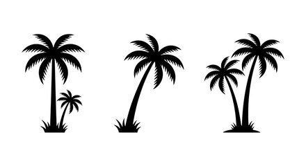 Fototapeta premium Black Palm Tree Silhouettes, Tropical Island Flora, Vector Set for Summer Vacation and Beach Designs
