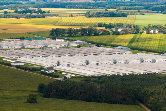 Aerial view of a modern poultry farm with long industrial buildings surrounded by vast agricultural fields and forests in Poland.