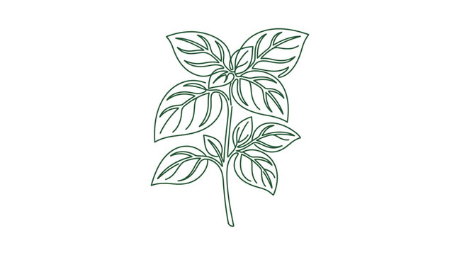 Minimalist black line art mint leaf stem.