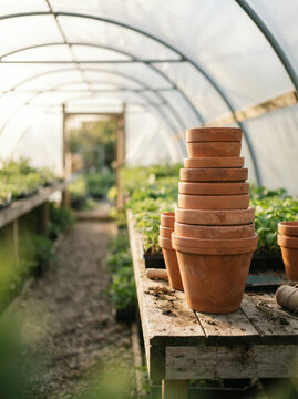 Terracotta pots stacked in narrow polytunnel greenhouse pathway