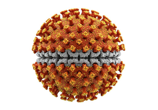 Orange 3d virus cell model with a metallic silver band across the center of the sphere shape isolated on transparent background
