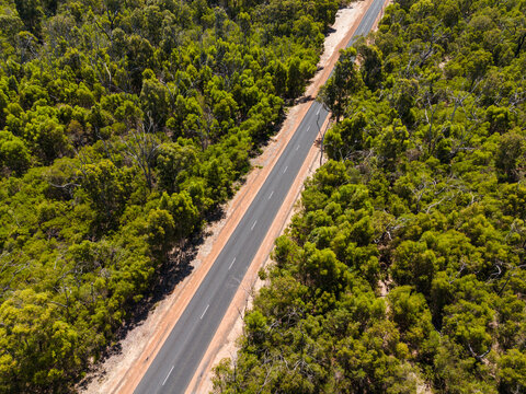 Aerial view of a straight asphalt road cutting through dense green eucalyptus forest near Lake Preston in Preston Beach, Western Australia, Australia.