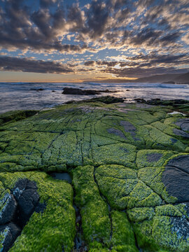 View of the moss-covered rocky coastline at Blowholes Road during sunset with waves crashing against the shore in Torndirrup, Western Australia, Australia.