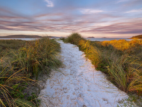 View of a sandy path winding through coastal grasses towards the ocean at sunset at Middleton Beach, Western Australia, Australia.